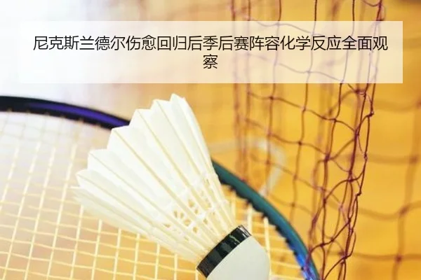 尼克斯兰德尔伤愈回归后季后赛阵容化学反应全面观察